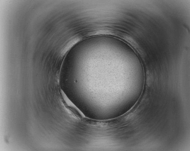 X0000102231241200808011218