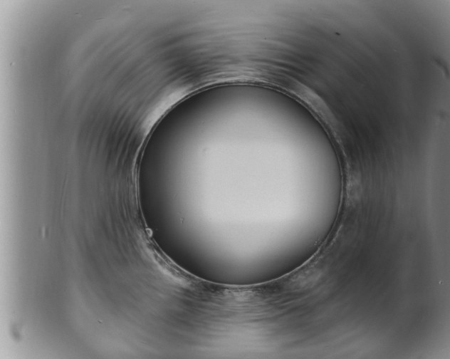X0000102231242200808011218