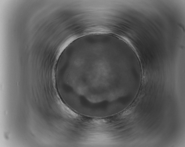 X0000102231243200808011218