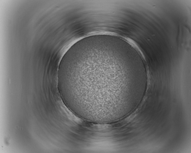 X0000102231244200808011218