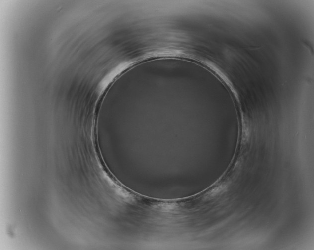 X0000102231245200808011218