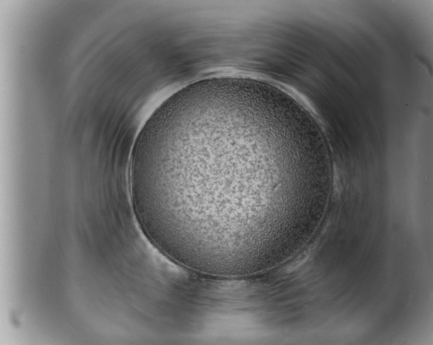 X0000102231247200808011218
