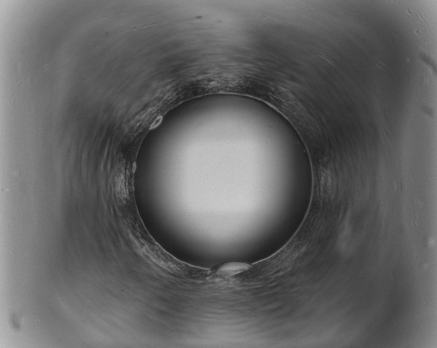 X0000102231250200808011217