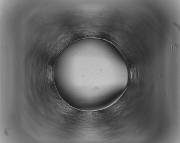 X0000102231251200808011217