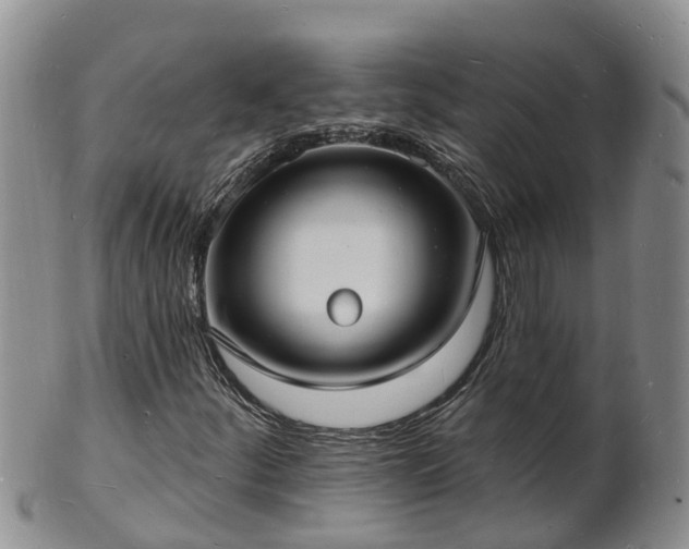 X0000102231252200808011217