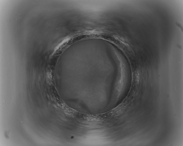 X0000102231254200808011217