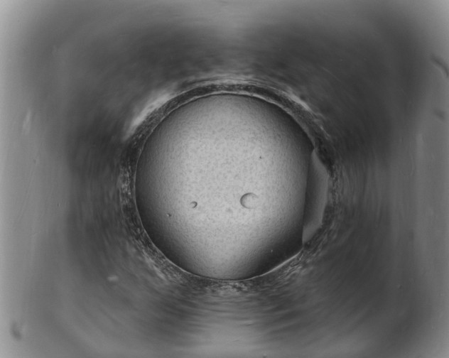X0000102231255200808011217