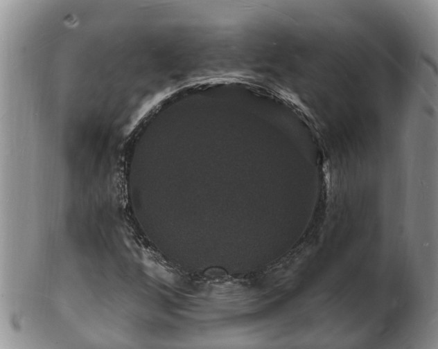 X0000102231256200808011217