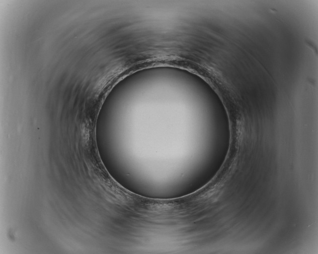 X0000102231257200808011217
