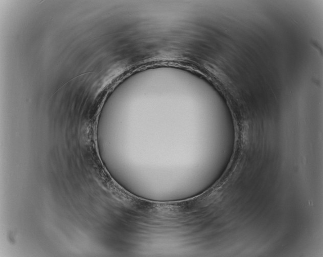 X0000102231258200808011217
