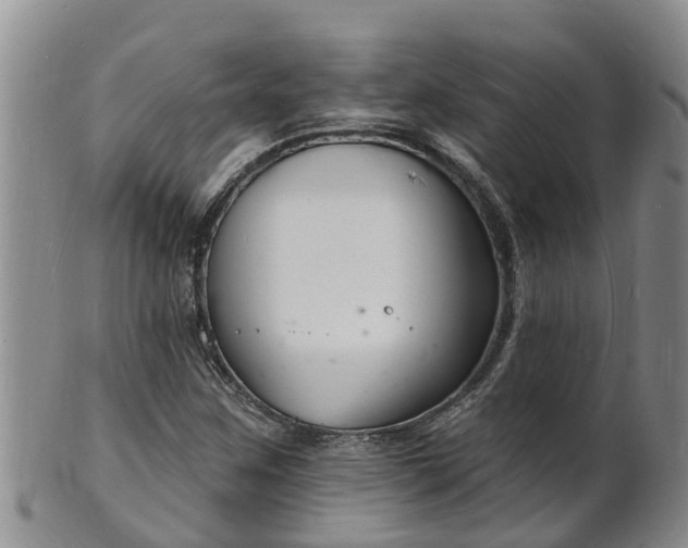 X0000102231259200808011217