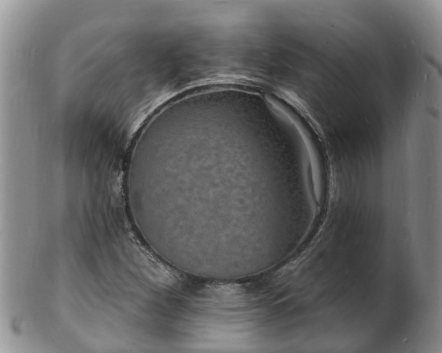 X0000102231260200808011217