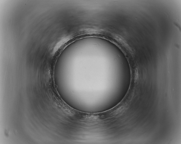 X0000102231261200808011217