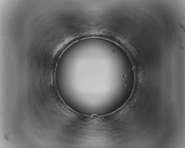 X0000102231262200808011217