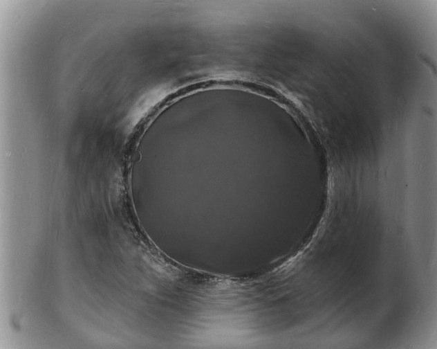 X0000102231263200808011217