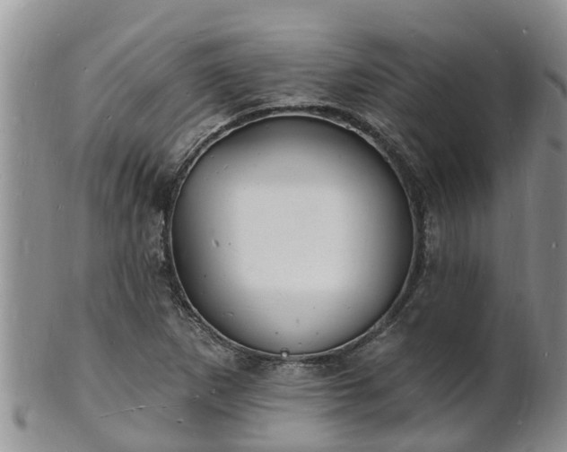 X0000102231265200808011217