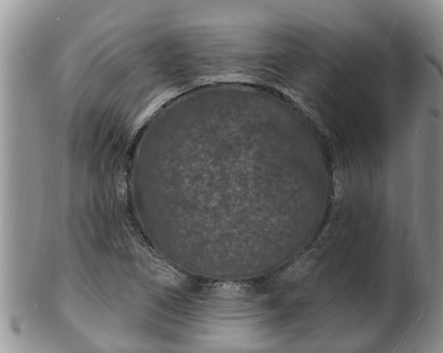 X0000102231266200808011217