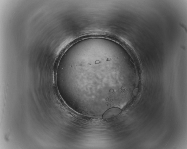 X0000102231267200808011217