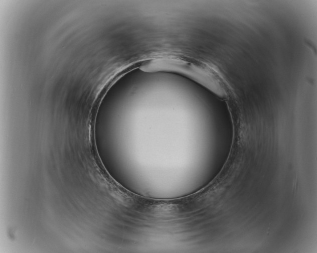 X0000102231268200808011217