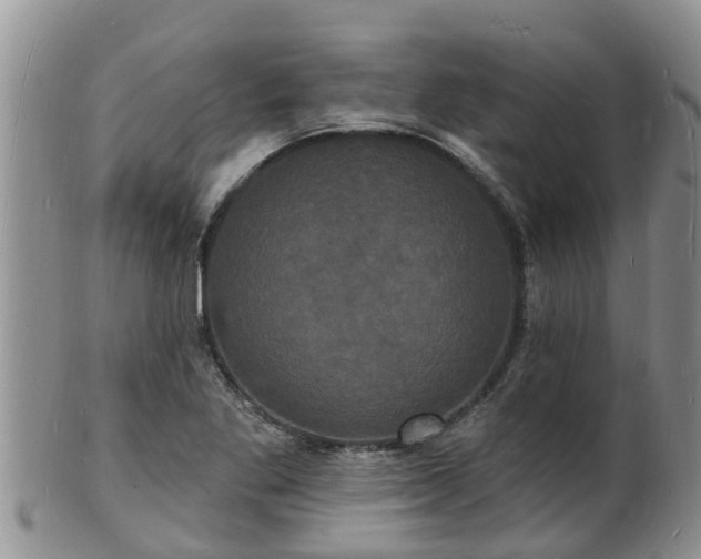 X0000102231269200808011217