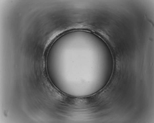 X0000102231270200808011217