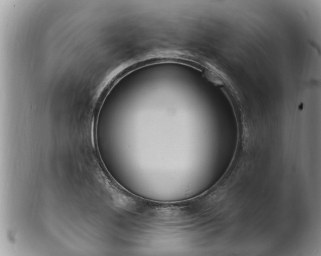X0000102231272200808011217
