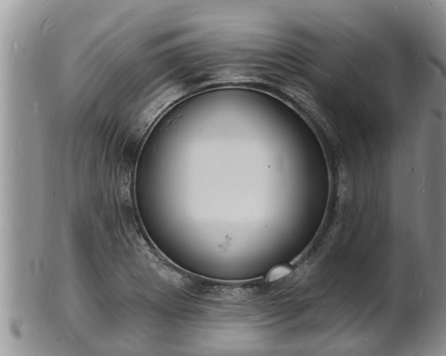 X0000102231273200808011217