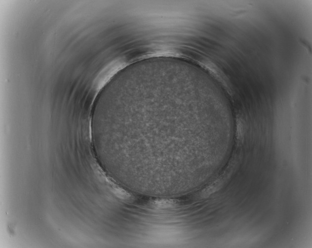 X0000102231274200808011217