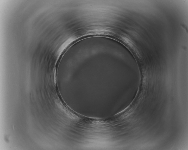 X0000102231275200808011217