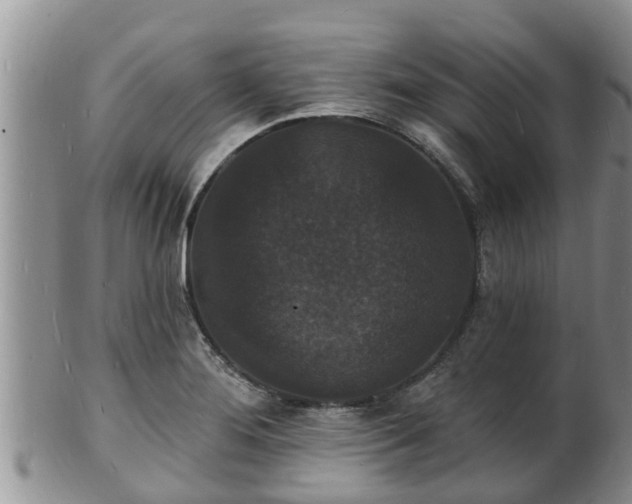X0000102231276200808011217