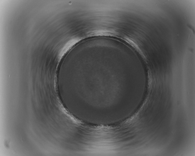 X0000102231277200808011217