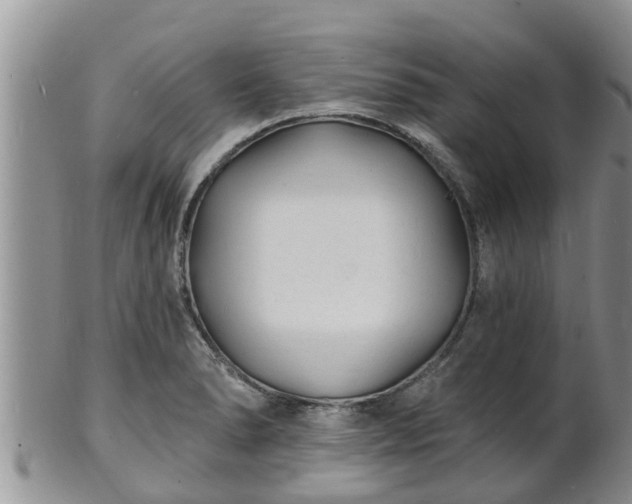 X0000102231278200808011217