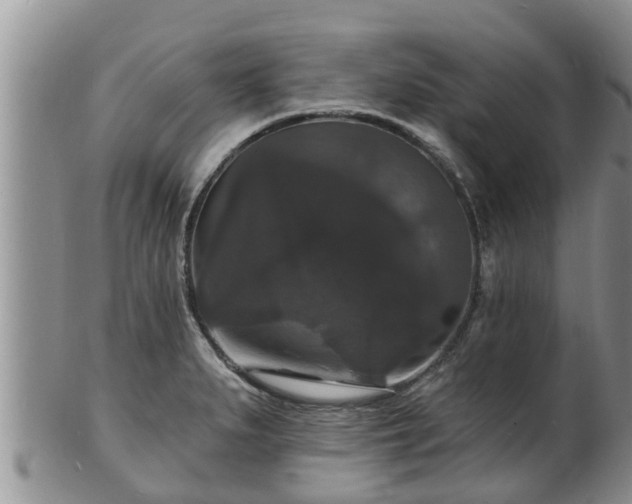 X0000102231279200808011217