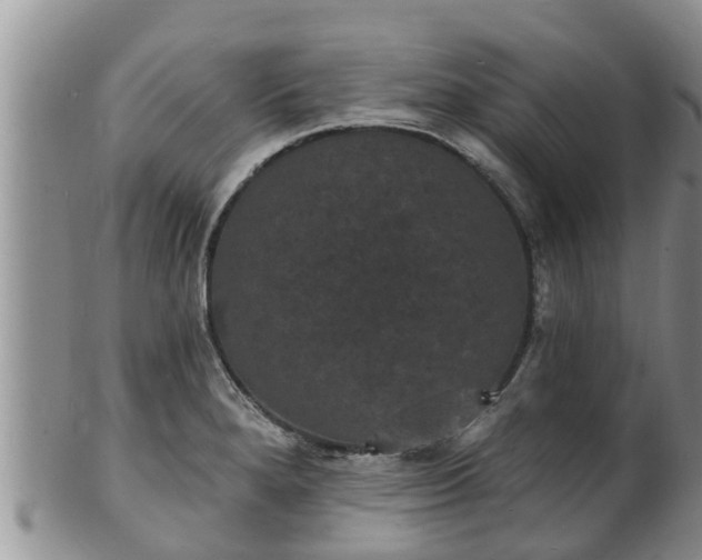X0000102231280200808011217