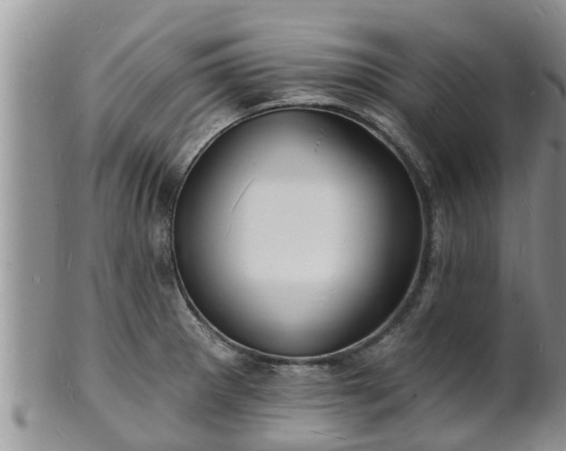 X0000102231281200808011217