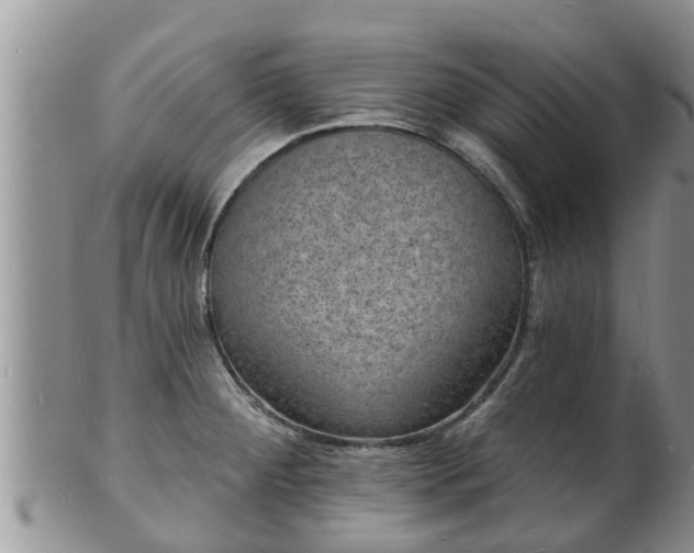 X0000102231284200808011217