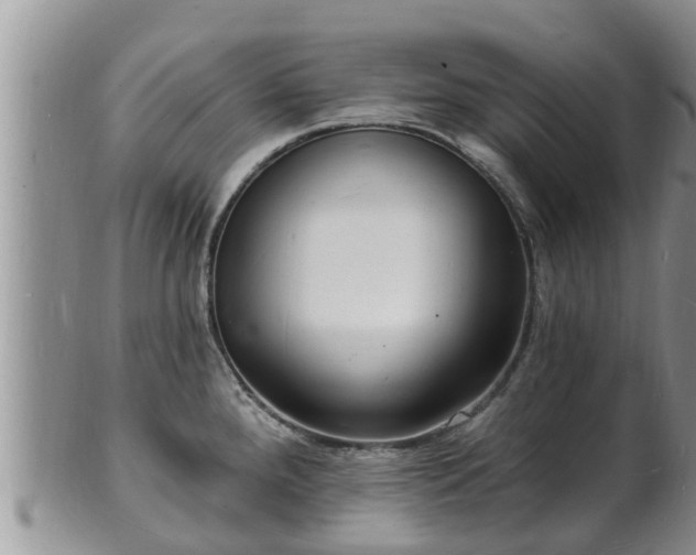 X0000102231288200808011216