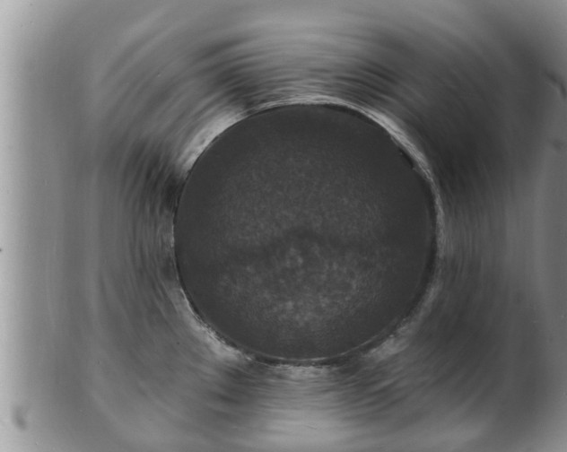 X0000102231289200808011216