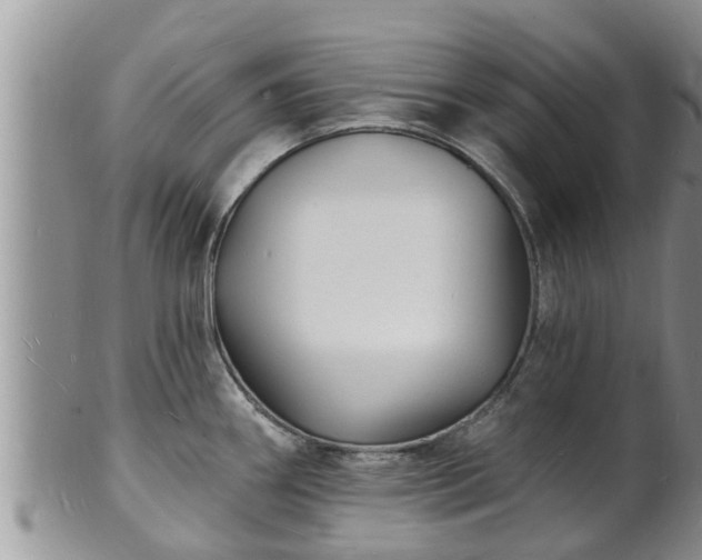 X0000102231290200808011216