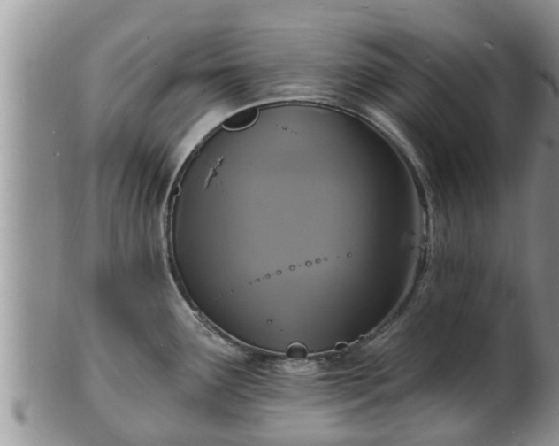 X0000102231291200808011216