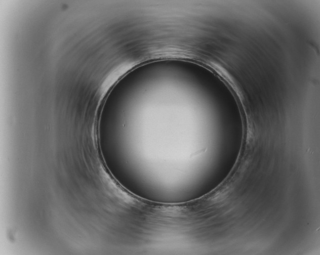 X0000102231293200808011216
