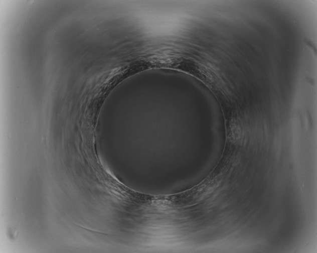 X0000102231297200808011216