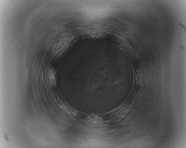 X0000102231298200808011216