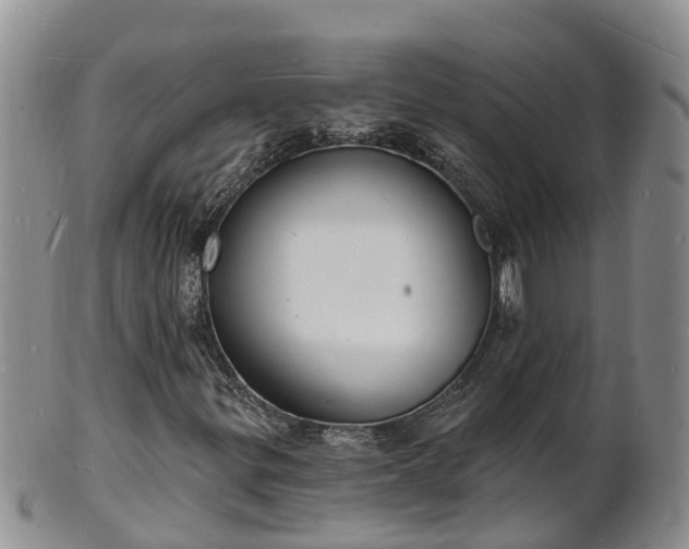X0000102231299200808011216