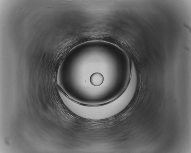 X0000102231300200808011216
