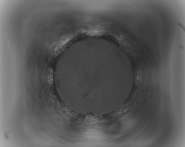 X0000102231301200808011216