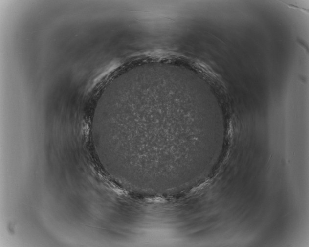 X0000102231302200808011216