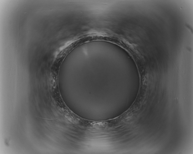 X0000102231303200808011216
