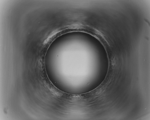 X0000102231304200808011216