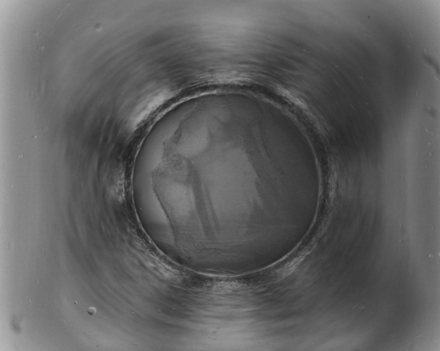 X0000102231306200808011216